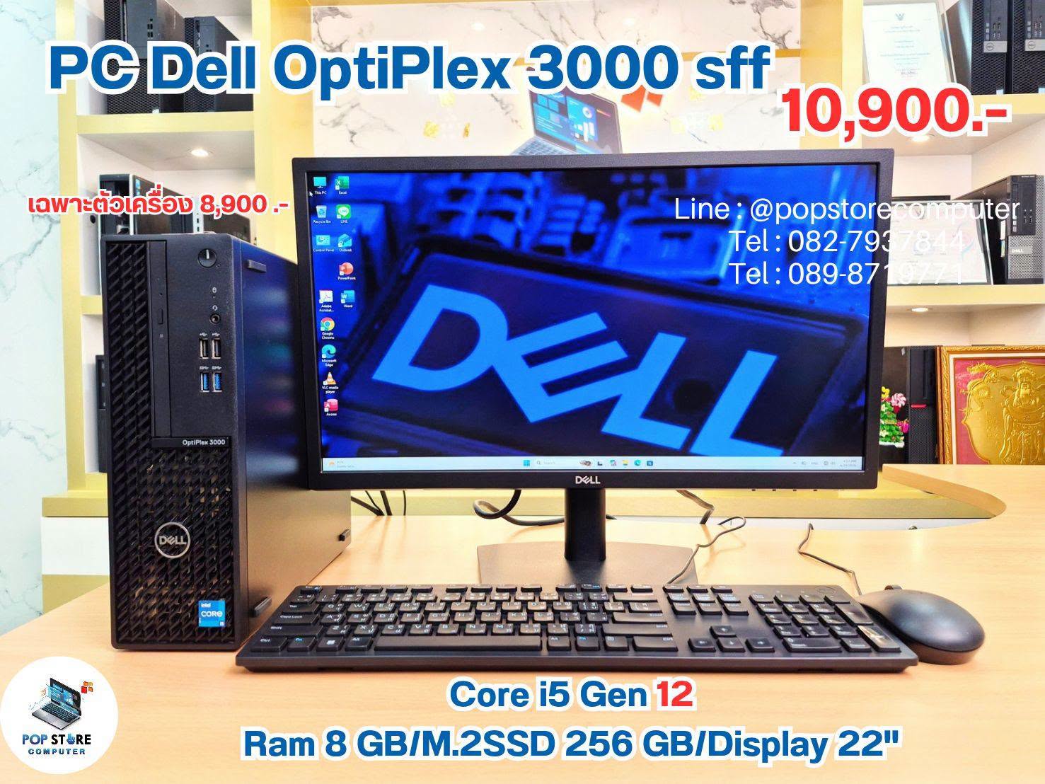 Dell Optiplex 3000 SFF
